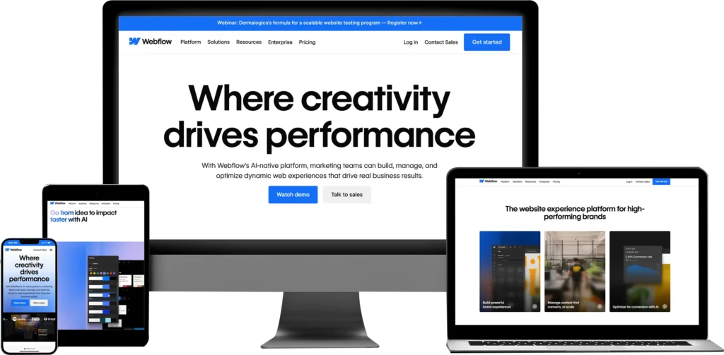 Why Invest in Webflow Development Services?​